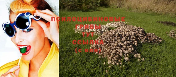 кристаллы Арсеньев