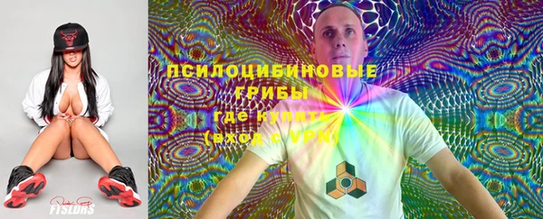PSILOCYBIN Абаза