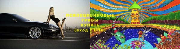 круглые Алексеевка