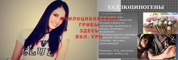 круглые Алексеевка