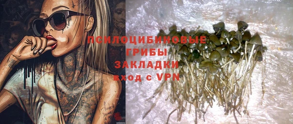 круглые Аркадак