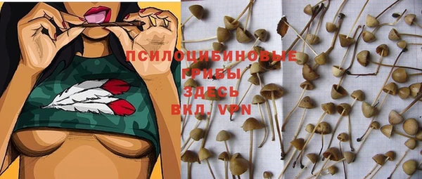 круглые Алексеевка