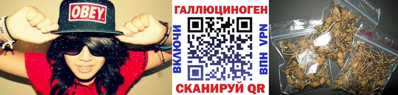 купить закладку  blacksprut как зайти  Псилоцибиновые грибы ЛСД  Ливны 